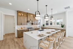 NCC_LunaEstates_QMI12_HalsteadTransitional_Kitchen