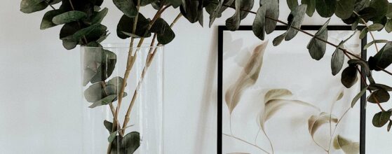 Charlotte Home Staging & Fall Decor Done Right